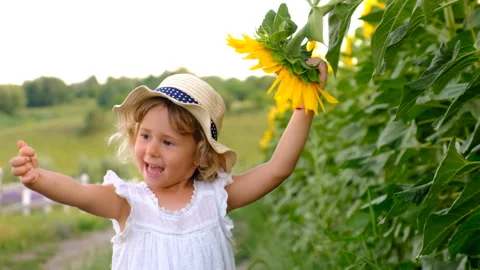 Child in a sunflower field. Selective focus. Stock Footage 280998195