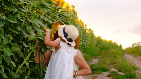 Child in a sunflower field. Selective focus. Stock Footage 281188253