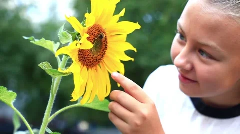Child with sunflower 스톡 동영상 42702853