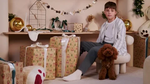 A child surrounded by presents pets a poodle in a cozy Christmas atmosphere. Stock Footage 293249454