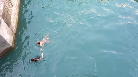 Child swimming in the harbor Stock Footage 218357727