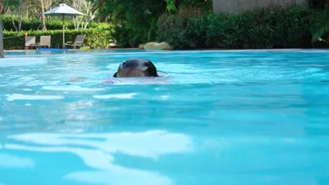 Child swims underwater Stock Footage 170532937
