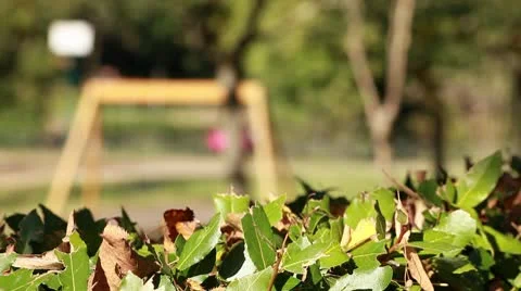 Child on swing - focus on foreground Stock Footage 8924105