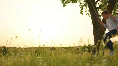 Child on swing in park under tree. Boy is swinging on wooden swing. Concept of Video stock 249125732