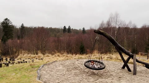 Child swinging in forest playground 库存影片 169293453