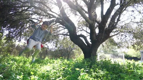Child swinging on a tree swing in nature Stock Footage 276484187