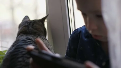 Child with a tablet and a cat Stock Footage 74977645