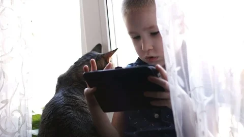Child with a tablet and a cat Stock Footage 74977977