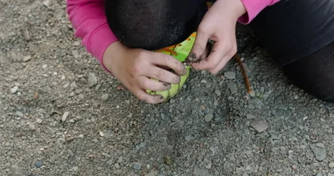 The child takes the fish off the hook Stock Footage 132342084