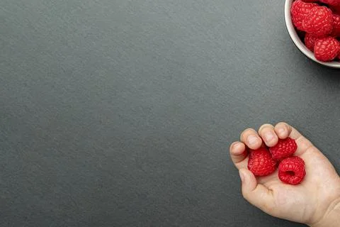 The child takes a raspberry and puts it in his hand. Berries on a black backg Stock Photos