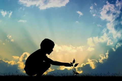 Child takes seedling Illustration