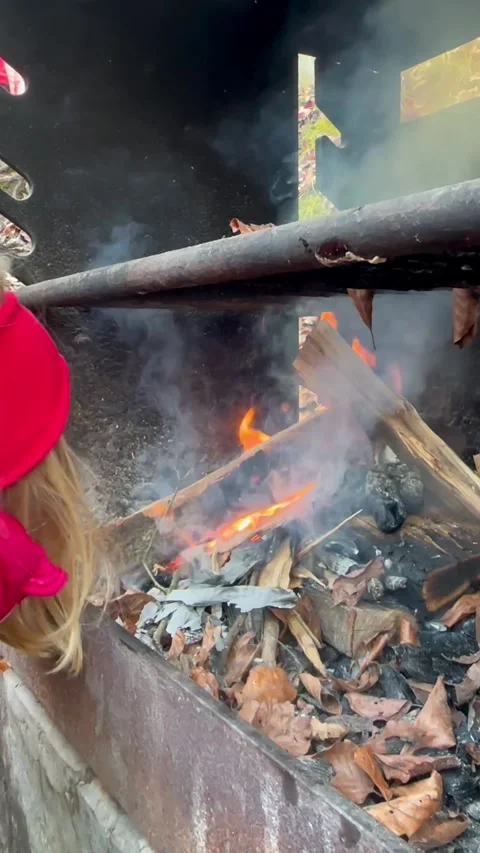Child Tending Campfire in Autumn Forest Stock Footage 296501405