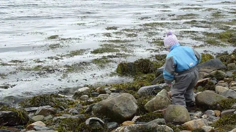 Child throwing rocks in the water Video stock 2545004