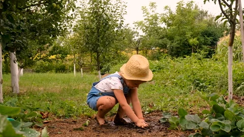 A child throws dirt in the garden. Selective focus. Stock Footage 276729229