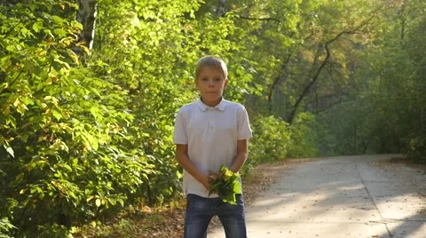 The child throws up the leaves and having fun 库存影片 67758168