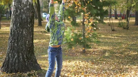 The child throws up over a yellow leaves in the park Video stock 68371875