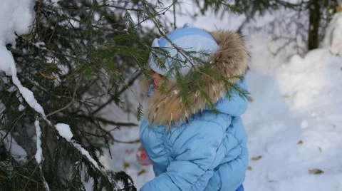 Child throws off snow from tree branches in a sunny day Video stock 69025680