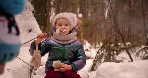 Child Toasting Marshmallows Over Campfire in Forest Stock Footage 297700343