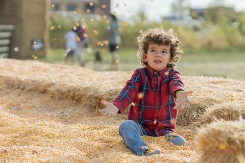 Child tosses corn kernels while sitting in pumpkin patch play area Fotos de archivo