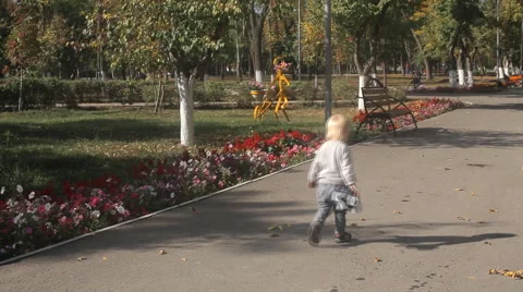 Child toy rolls Stock Footage 55576850
