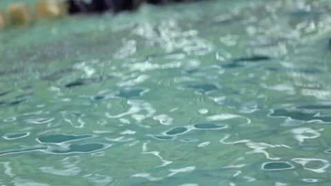 Child training in swimming pool Stock Footage 89802794