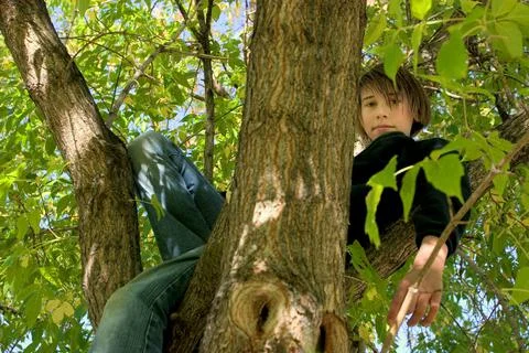 Child In Tree Stock Photos