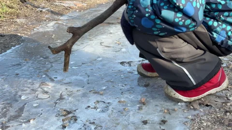 Child Uses a Large Branch to Crack Thick Ice Over a Frozen Winter Puddle Stock Footage 329455741