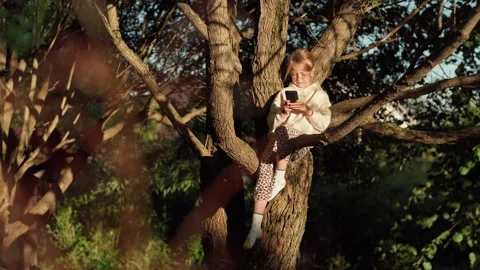 Child using cell phone sitting on tree in park Stock Footage 156817247