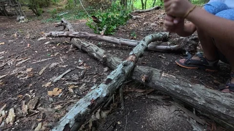 Child using a machete to cut fallen tree branches in the forest. Outdoor Stock Footage 316155514