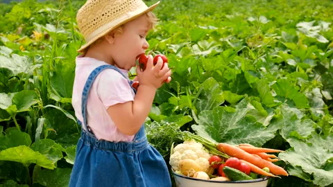 Child in the vegetable garden. selective focus. Stock Footage 202648388