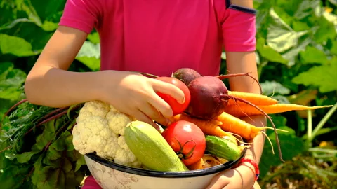 Child in the vegetable garden. selective focus. Stock Footage 203196854