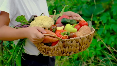 Child with vegetables in the hands of the harvest. Selective focus. Stock Footage 167492663