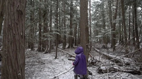 Child waking through forest in slow motion 2 Stock Footage 88010051