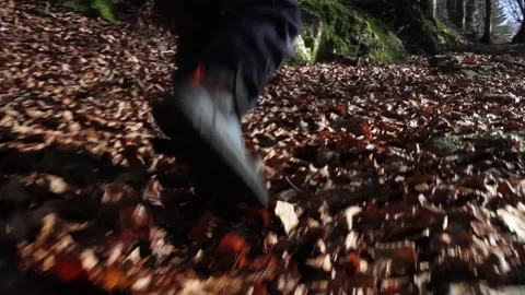 Child walk 스톡 동영상 142789594