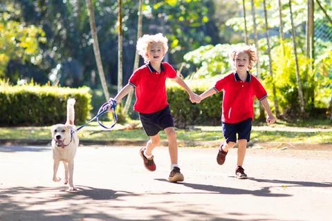Child walking dog. Kids and puppy. Boy and pet. Stock Photos