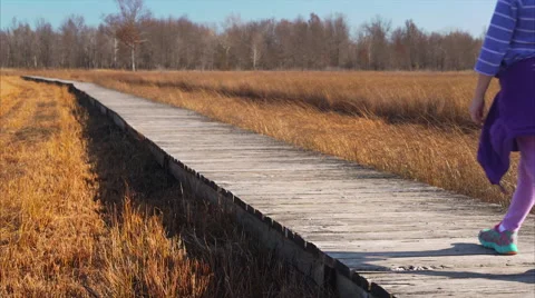 Child walking down boardwalk through a marsh Video stock 57242321