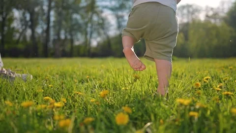 Child walking gently across wide field. Barefoot foot steps through fresh grass Stock Footage 320113980