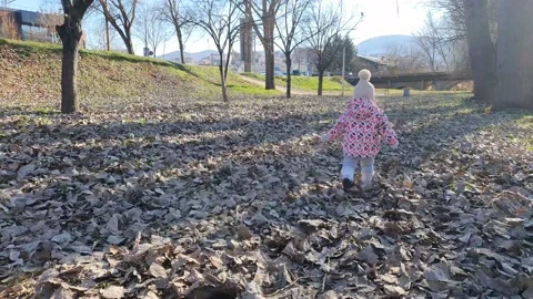 Child walking on a Leafs Stock Footage 168879848