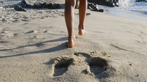 Child walking on the shoreline Stock Footage 113916765