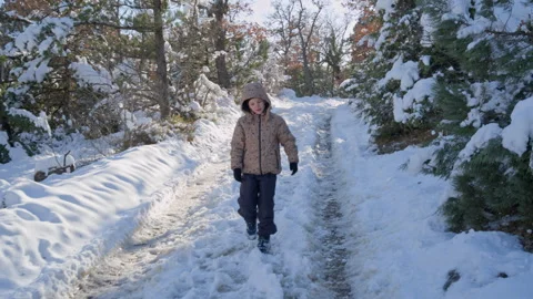Child Walking on Snowy Forest Path Stock Footage 316899277