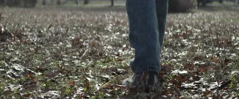Child Walking Through Leaves Stock Footage 133466659