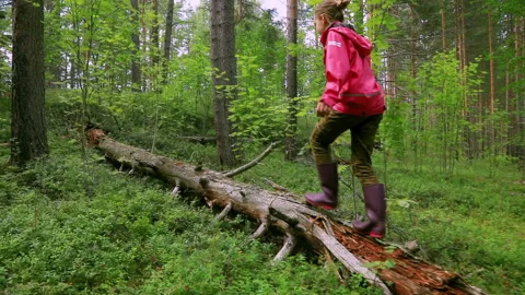 Child walking on tree trunk slowmo Stock Footage 154850403