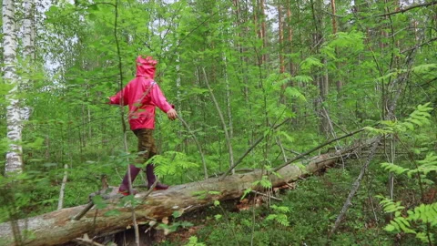 Child walking on tree trunk slowmo Stock Footage 154946187