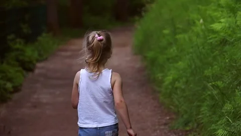 Child walks along a path in the forest. Stock Footage 252685091