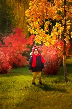 A child walks in the autumn in the park - a smiling boy stands by a tree Stock Photos