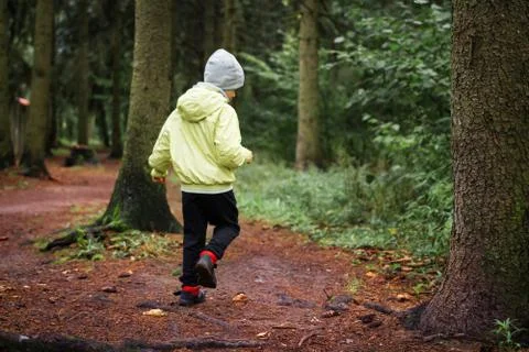 Child walks in forest Foto stock