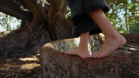Child walks on large tree root in park during sunny day Stock Footage 338297751
