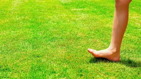 The child walks on the lawn grass. Selective focus. Stock Footage 153733283