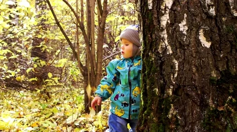 A child walks in the park Видео 56764927