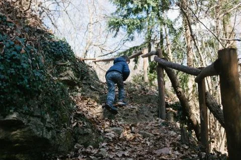 Child walks on a path in the woods Stock Photos